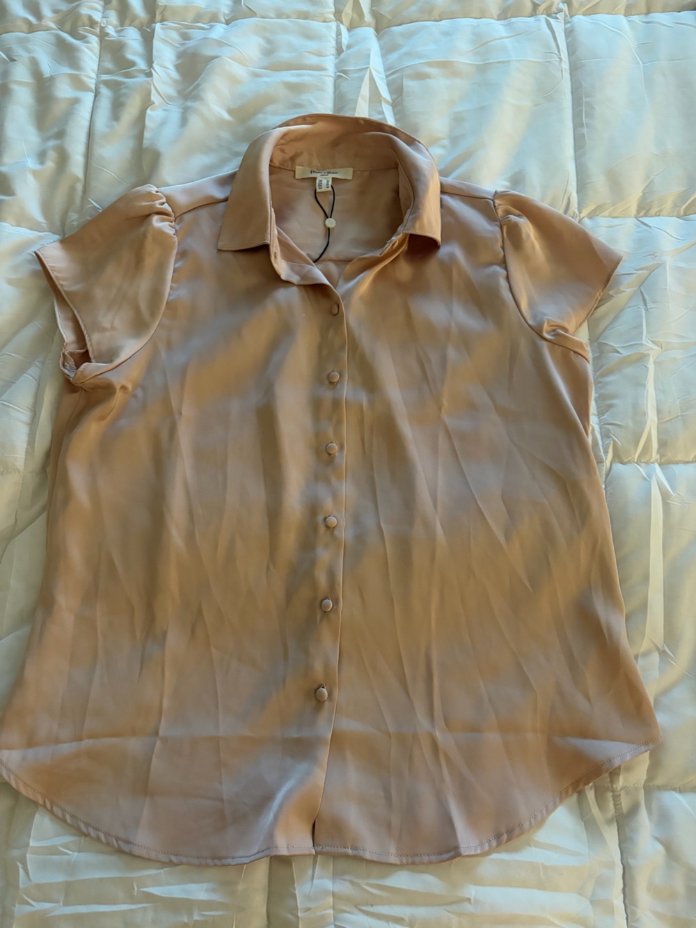 Light Pink Button-Front Collared Women’s Blouse